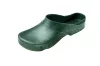0205000214_birba_greeen_dsc5086.jpg