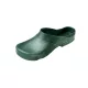 0205000214_birba_greeen_dsc5086.jpg