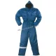 beaver_overall_57620.jpg